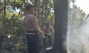 Bersama Petugas Gabungan, Polisi Berusaha Padamkan Kobaran Api di Hutan Pinus Kalijoyo Pekalongan