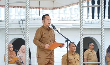 Diskominfotik Rohil Mendapat Bantuan Pembangunan Menara Telekomunikasi Dari Pusat