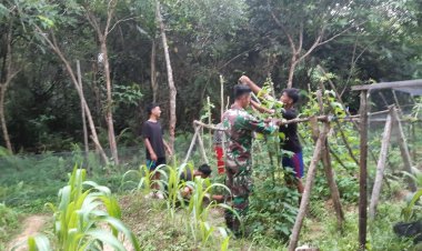 Remaja Rumah Singgah, bersama Satgas Pamtas RI-Malaysia Yonzipur 5/ABW, memperkenalkan Program Berkebun untuk Ketahanan Pangan.