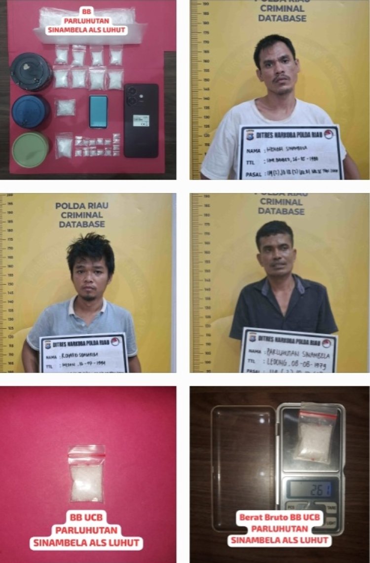 Pengedar dan Pembeli Narkoba di Rohil Dibekuk Polisi, 48,79 Gram Sabu Disita