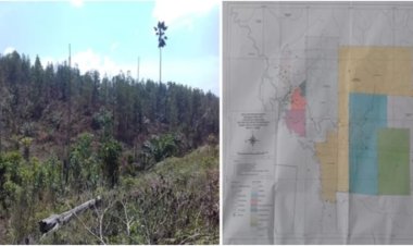 Satgas Inti Prabowo Desak Tegakkan Hukum atas Dugaan Perusakan Hutan Teso Nilo