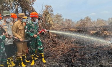 Pangdam I/BB Turun Langsung Padamkan Karhutla di Rokan Hilir