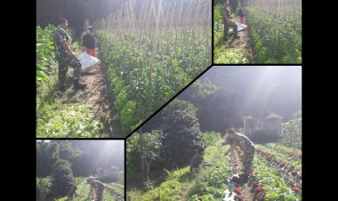 Babinsa Selo Dukung Petani Boyolali Wujudkan Swasembada Pangan Nasional