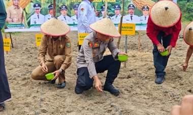 Gelar Penanaman Jagung Pipil, Polsek Lubuk Batu Jaya Dukung Swasembada Pangan 2025
