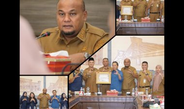 BPS RI Tetapkan Kampung Jayapura Siak Sebagai Desa Cantik Terbaik Riau 2025