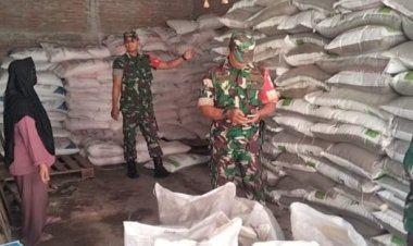 Babinsa Sragen Pastikan Pupuk Bersubsidi Aman di Awal Musim Tanam