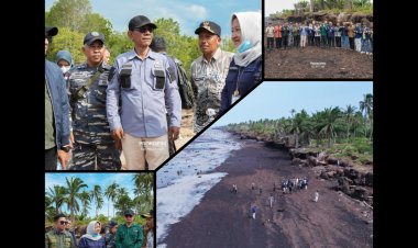 BNPP Tinjau Abrasi Pulau Rangsang, Pemkab Meranti Minta Dukungan Pusat