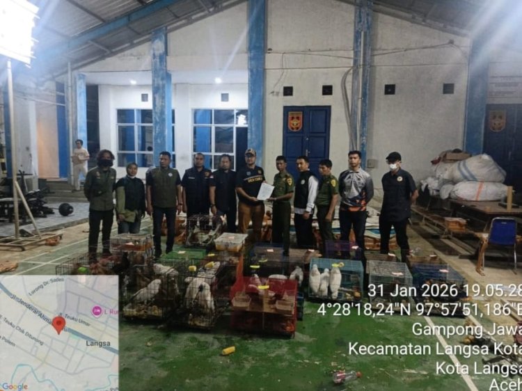 Gakkum Kehutanan Tersangka Penyelundupan Ratusan Satwa Dilindungi di Aceh