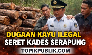 Kades Serapung Tersangkut Dugaan Kayu Ilegal, Dana Puluhan Juta Belum Kembali