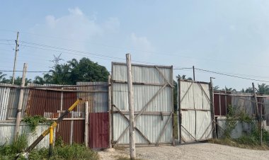 Gudang Cangkang Ilegal di Kandis Ternyata tidak Benar Adanya