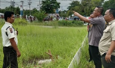 Alek Kurniawan Pimpin Langsung Penertiban Reklame di Pekanbaru, Fokus Tingkatkan PAD