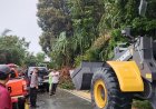 Polantas Tangani Longsor di Jalan Lintas Taluk Kuantan - Pekanbaru