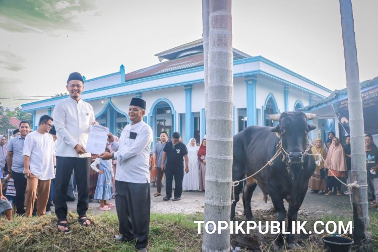 Sapi Kurban Presiden Prabowo untuk Warga Pekanbaru