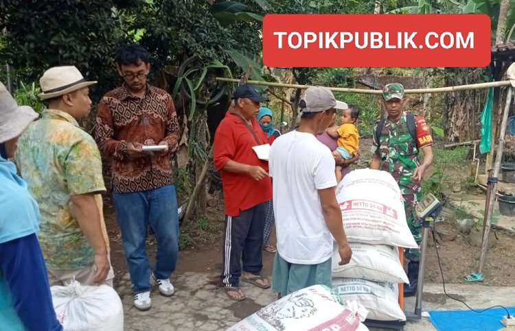 Kodim Boyolali-Bulog Serap Gabah Petani Jaga Harga Stabil
