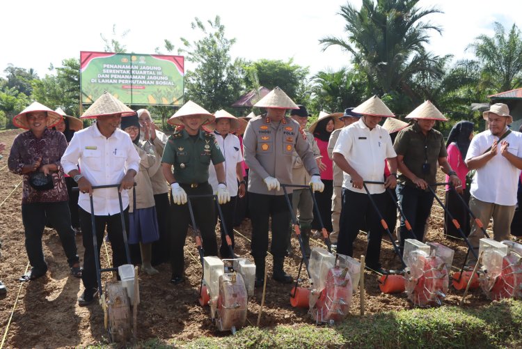 Kapolres Aceh Barat Pimpin Tanam Jagung Kuartal III