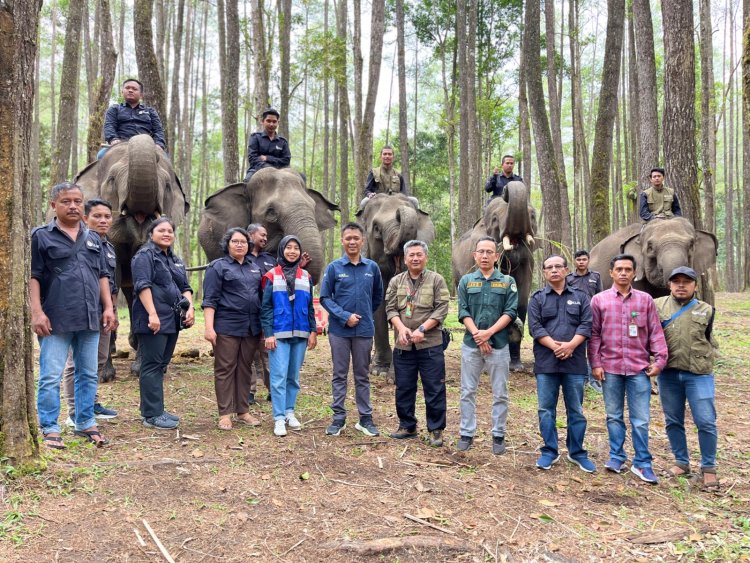 Melestarikan Lingkungan dan Keanekaragaman Hayati Dalam Mendukung Wisata Edukasi Konservasi Gajah di Aek Nauli