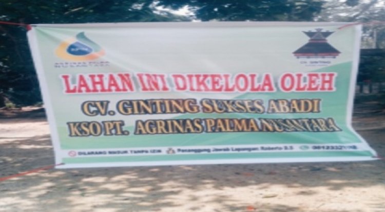 Panen Sawit Secara Paksa, Warga Desa Kota Lama Laporkan Sekelompok Masyarakat ke Polisi Untuk Hindari Bentrok