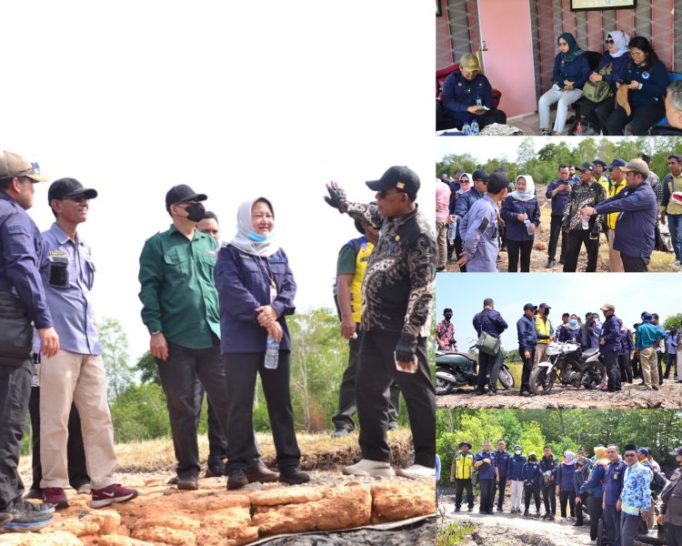 BNPP Tinjau Abrasi Parah Pulau Rangsang Meranti, Daratan Tergerus dan Sawah Terancam Hilang