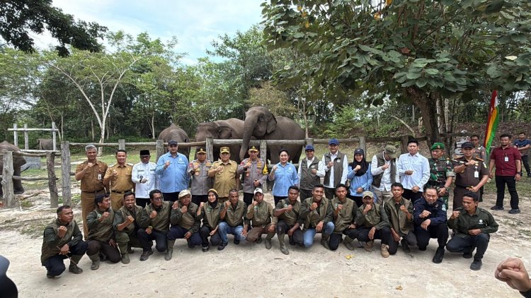 Kapolri dan Bupati Pelalawan Tinjau Tesso Nilo, Targetkan Pemulihan 81 Ribu Hektare Habitat Gajah