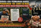 Diduga PKS Mainkan Harga Sawit Riau, Petani TBS Dirugikan