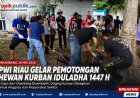 PWI Riau Sembelih 6 Sapi dan 1 Kambing pada Iduladha 1447 H