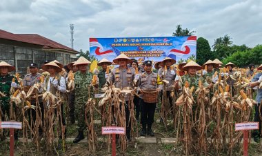 Dukung Swasembada Pangan, Wakapolda Riau Panen Raya Jagung di Pekanbaru