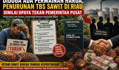 Diduga PKS Mainkan Harga Sawit Riau, Petani TBS Dirugikan