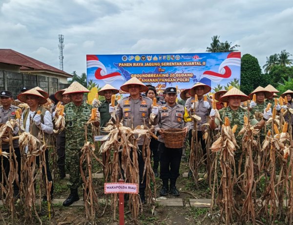 Dukung Swasembada Pangan, Wakapolda Riau Panen Raya Jagung di Pekanbaru