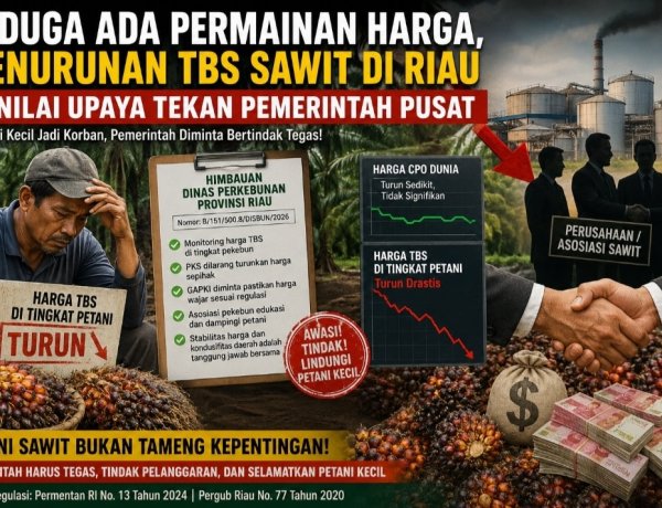 Diduga PKS Mainkan Harga Sawit Riau, Petani TBS Dirugikan