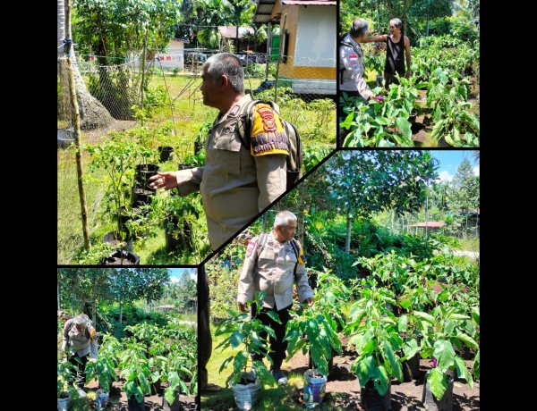 Bhabinkamtibmas Rangsang Barat Tinjau Pekarangan Pangan Bergizi Warga di Meranti