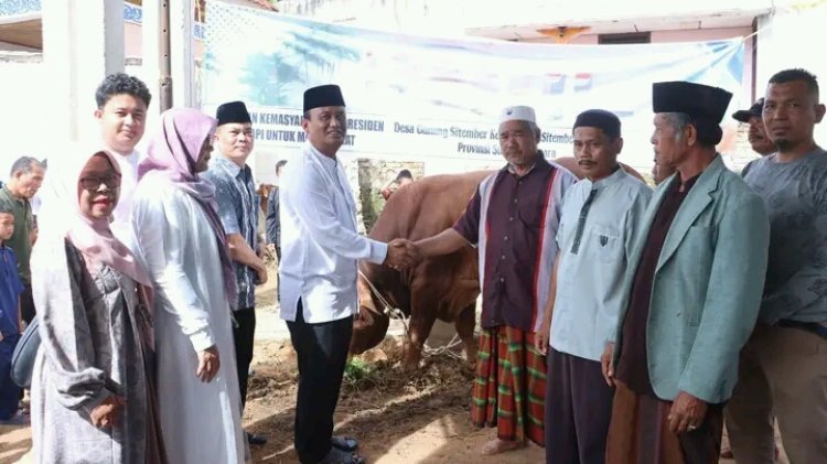 Dalam Merayakan Idul Adha 1447 H, Wakil Bupati Dairi Serahkan Bantuan Sapi Dari Presiden Prabowo Subianto