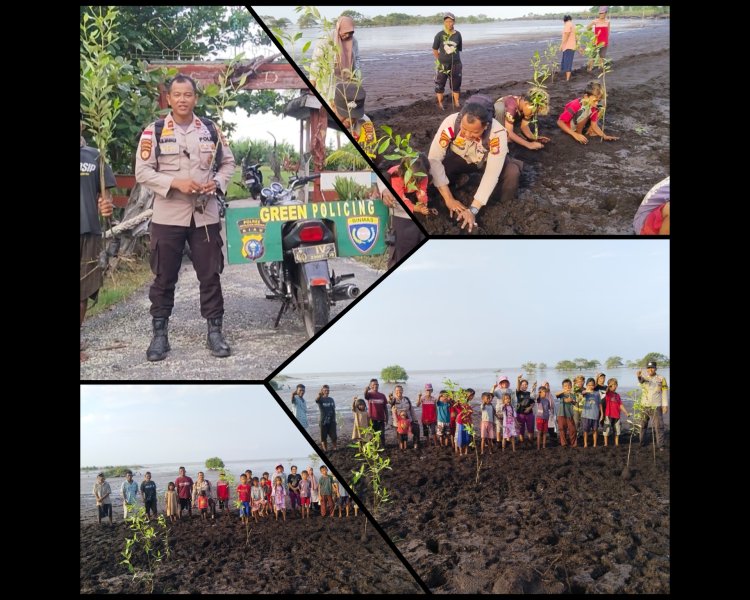 Polsek Rangsang dan Suku Akit Tanam Mangrove Cegah Abrasi