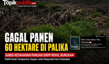 Kabid Ketahanan Pangan DKPP Rohil Bungkam Soal Gagal Panen 60 Hektare