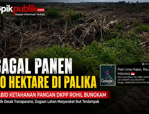 Kabid Ketahanan Pangan DKPP Rohil Bungkam Soal Gagal Panen 60 Hektare