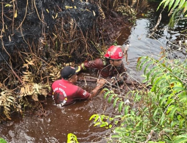Manggala Agni Kuras Lumpur Padamkan Karhutla Bengkalis