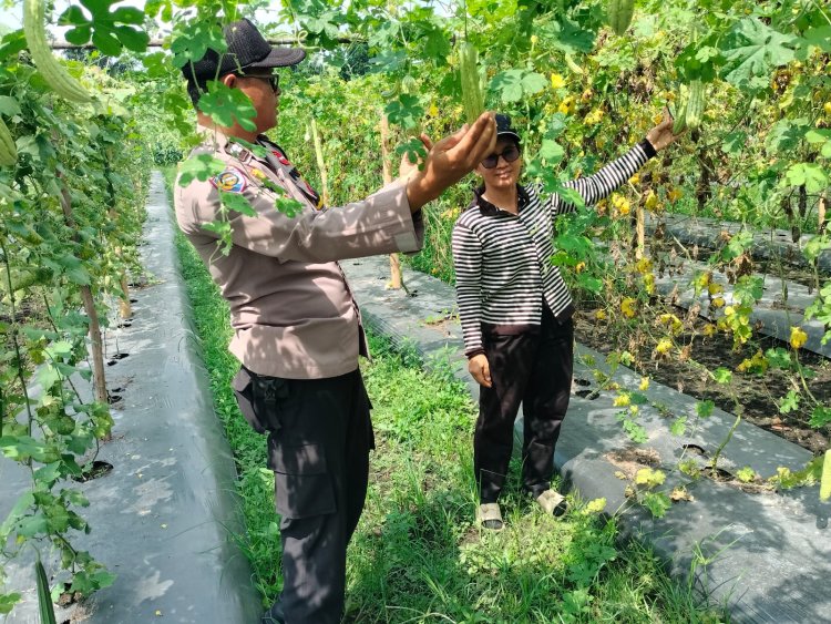 Dukung Ketahanan Pangan, Bhabinkamtibmas Polsek Pangkalan Kerinci Monitoring Lahan Pekarangan Bergizi Milik Warga