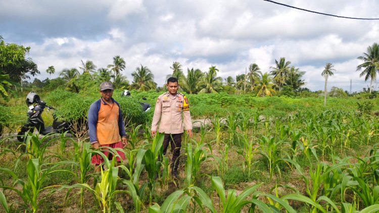 POLSEK TEBING TINGGI BARAT LAKUKAN PEMBINAAN PETANI DESA PADANG KAMAL. 